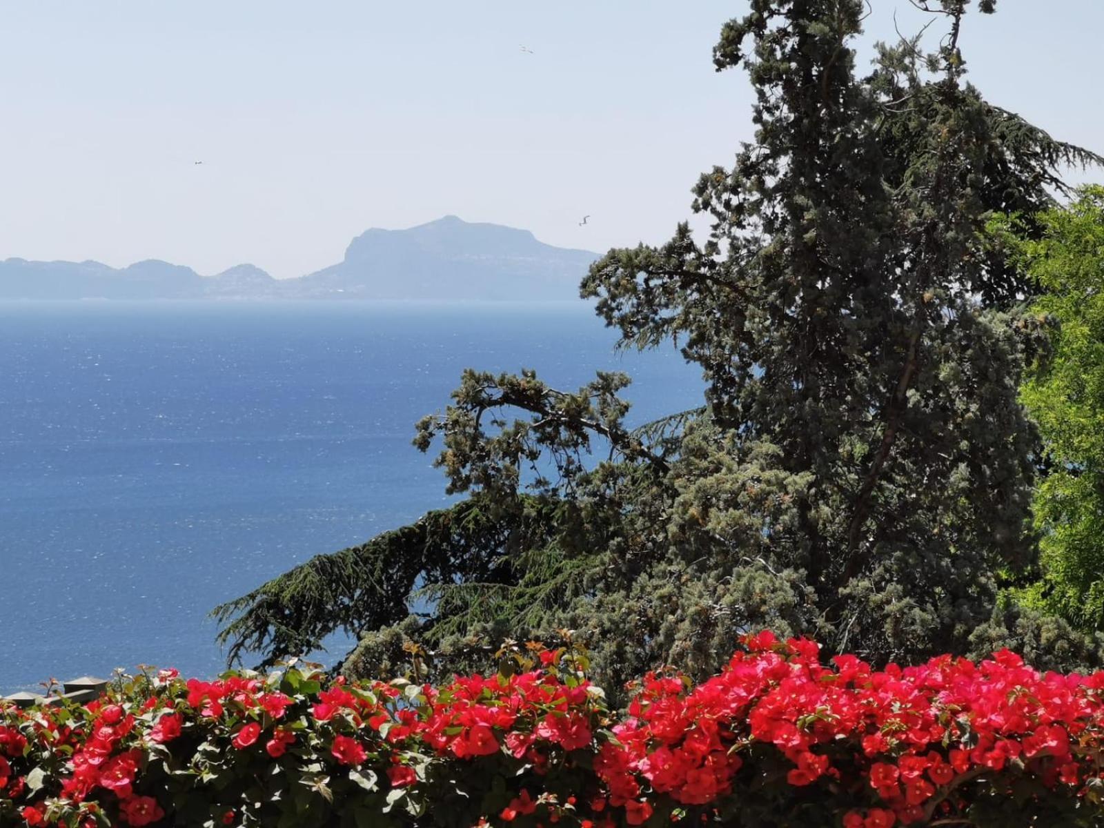 Vomero Guest House Νάπολη Εξωτερικό φωτογραφία